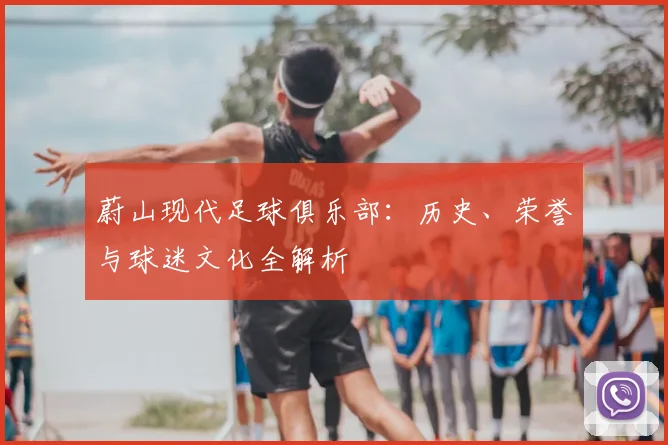 蔚山现代足球俱乐部：历史、荣誉与球迷文化全解析