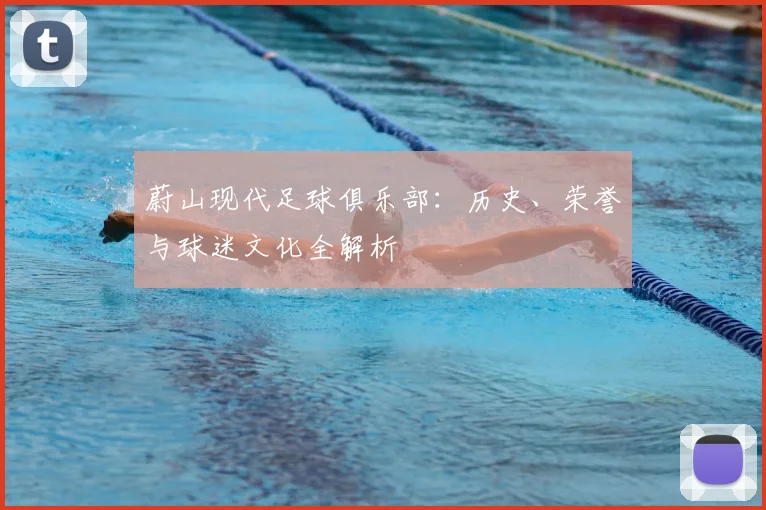 蔚山现代足球俱乐部：历史、荣誉与球迷文化全解析