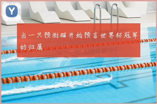 当一只预测猫开始预言世界杯冠军的归属